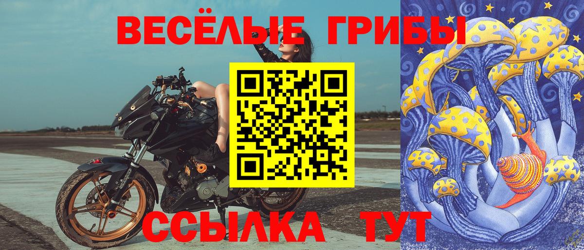 Галлюциногенные грибы мухоморы Елабуга