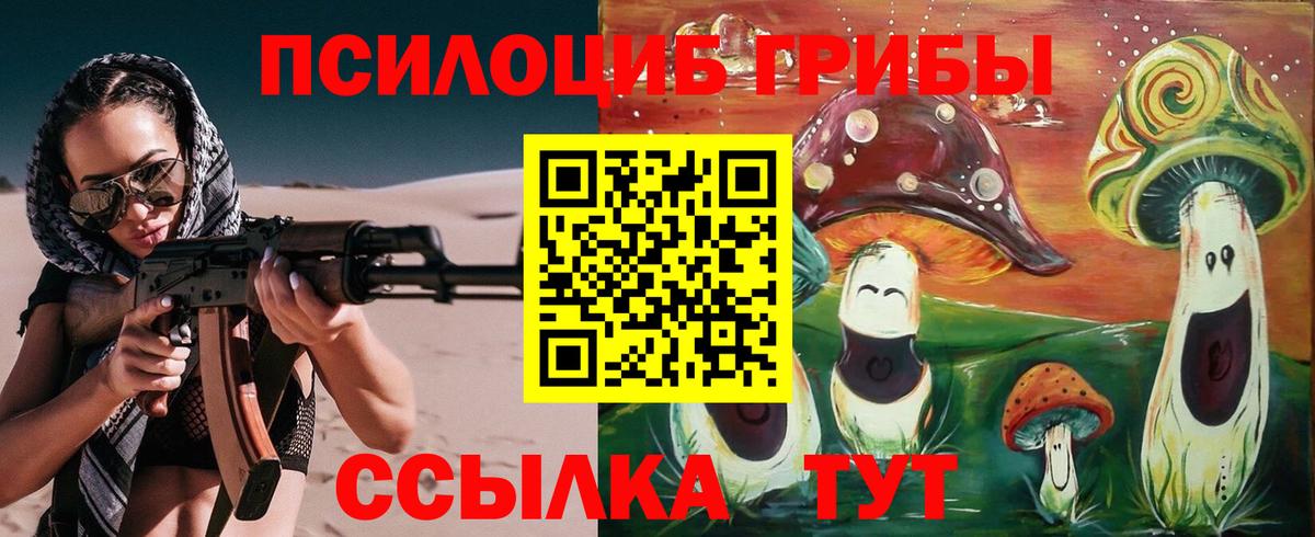 Псилоцибиновые грибы Psilocybine cubensis  Псилоцибиновые грибы Psilocybe  Елабуга  Вход с VPN 